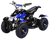 Actionbikes Motors Mini Kinder Elektro Quad ATV Cobra 𝟴𝟬𝟬 Watt 36 V Pocket Quad - Original Saftey Touch - Kinder E Bike (Schwarz/Blau)