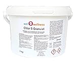 well2wellness Chlor S Granulat - schnell lösliches Chlorgranulat mit über 60% Aktivchlor, 3,0 kg