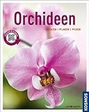 Orchideen (Mein Garten): Gestalten Pflanzen Pfleg