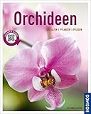 Orchideen (Mein Garten): Gestalten Pflanzen Pfleg