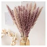 Künstliche Blumen Rohrkolben-Maschine Natürliche Getrocknete Blumen Künstliche Pflanzen Zweig INS Pampas Gras Phragmites Gefälschte Blume Hochzeit Hause Dekoration W