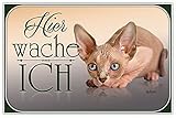 Metall Schild 20x30cm Hier wache Ich Sphynx Katze Tin Sig