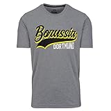 Borussia Dortmund Borussia T-Shirt (M, grau)