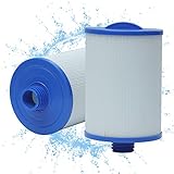 WRYIP Spa Filter für Unicel 6CH-940, Spa Filterkartusche für Pleatco PWW50P3, für Waterway Front Access Skimmer, für Filbur FC-0359 (2 Stück)