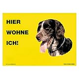 Schecker Münsterländer Warnschild - Warnschilder Hund - Hier wohne ich - 20 x 28 cm - viele R