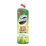 Domestos WC Gel Aktiv Kraft Reiniger Lime Fresh, 750