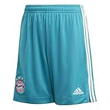 adidas Kinder Shorts-FI6210 Shorts, Labgrn, 152