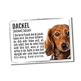 Dackel 2 Duden Hund Dog Schild Spruch Türschild Hundeschild Warnschild F