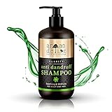 Argan Deluxe Anti-Schuppen Shampoo in Friseur-Qualität 300 ml - Hilfe gegen Schuppen, juckende Kopfhaut und trockene Kop
