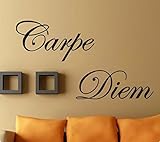 PVC Charaktere'Carpe Diem' Wandaufkleber Wohnkultur Abziehbilder Dekoration Abnehmbare Hochwertige Schwarz 60 * 14CM