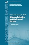 Schimmelschäden an Wänden und Decken. Schadenfreies Bauen 42