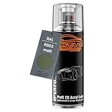 RAL 6003 Olivgrün matt 2K Acryl Spraydose Sprühdose Sprühlack Spritzlack 400 ml schnelltrock