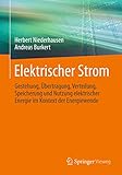 Elektrischer Strom: Gestehung, Übertragung, Verteilung, Speicherung und Nutzung elektrischer Energie im Kontext der Energiew