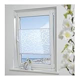 ourdeco® Plissee Ausbrenner / 100 x 130 cm (Breite x Höhe) / Farbe: weiß; lichtdurchlässig, Motiv Waitara-Grafik/Klemmen, Montage ohne zu Bohren, Klemmfix-Plissee, Easy-to-fix