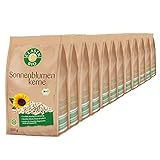 12x CLASEN BIO Sonnenblumenkerne, geschält, aus biologischem Anbau, vegan und glutenfrei - 500 g