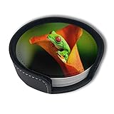 Untersetzer mit roten Augen und Frosch, Set mit 6 saugfähigen Untersetzern, dicke, rutschfeste Untertassen für Arten von Tassen und T