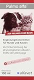 Pulmo alfa Hustensaft zur Unterstützung der Abwehrkräfte der Atemweg