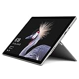 Microsoft Surface Pro LTE 31,24 cm (12,3 Zoll) 2-in-1 Tablet (Intel Core i5, 8 GB RAM, 256 GB SSD, Windows 10 Pro) Platin G