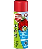 PROTECT GARDEN Curamat Plus Rosen-Pilzfrei Spray (ehem Bayer Garten Baymat), anwendungsfertiges Fungizid gegen Pilzkrankheiten an Rosen und Zierpflanzen, 400