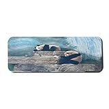 Panda Computer Mouse Pad, Bild von Panda in Beijing Zoo sitzt auf Steinen Wasserfall gemalte Wand auf der Rückseite, Rechteck rutschfeste Gummi Mousepad groß blau b