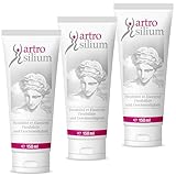 Artrosilium Organisches Silizium 3x150ml - Silizium Gelenk Gel zum Einmassieren - Massage Gel mit Silicium zur täglichen Anwendung- 4 Wochen Kur - 3 x 150ml Tuben (3x150ml Gel Tube)