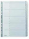 Leitz Register für A4, Deckblatt und 20 Trennblätter, Taben mit Zahlenaufdruck 1-20, Lochrand und bunte Taben folienverstärkt (Mylar), Grau, Karton, 43260000