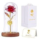 Tongtai Galaxy Rose Blume Geschenk, Galaxy verzauberte Rose LED-Lichterkette in Glaskuppel, Geschenke für Frauen Ihre Freunde Weiblich Weihnachten Valentinstag Hochzeit Jahrestag Geburtstag