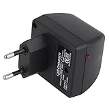 Richoyster Auto-Netzteil-Konverter-Adapter 220V zu DC 12V-Ladegerät Jack Steckdosen-Zündgerät Bequem Elektrisch für Z