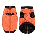 TTCI-RR Hundebekleidung Winter Haustier Kleidung Warme Jacke Mantel mit Reißverschluss Hundekleidung Freizeit Kleidung für Chihuahua Französische Bulldogge Outfits Haustier, Orange, S