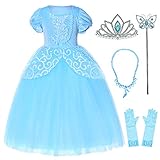 Tüll-Rock Prinzessin Aschenputtel Kostüm für kleine Mädchen Geburtstag Party Kleid mit Handschuhen, Krone, Mace, Halskette, Zubehör 3–10 Jahre Gr. 9-10 Jahre, Cinderella-189 mit Zubehö