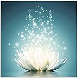 Artland Glasbilder Wandbild Glas Bild einteilig 50x50 cm Quadratisch Asien Botanik Blumen Blüten Lotusblume Seerose Modern türkis T9NM