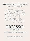 Picasso Pigeon Line Woman Face Abstrakte Poster und Drucke Nordische Kunst Moderne rahmenlose Leinwand Malerei A1 30x40