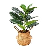 Künstliche Pflanze Geigenblatt Feigenbaum 56cm Kunstpflanzen im Seegraskorb Tropical Hawaii Grün Plastik Pflanze für Küche Schlafzimmer Bürogebrauch Garten Hochzeit Deco(1 Pack)