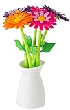 Set Stifte-5u. Flower Shop C/J