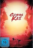 Cobra Kai - Die komplette zweite Staffel [2 DVDs]