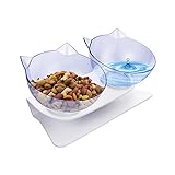 YHmall Katzennapf 15 ° Neigung Futternapf Nicht verschüttet und rutschfeste Fressnapf, Schüssel für Katze Welpe Hamster Kaninchen Kleine Tiere MEHRWEG