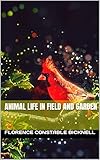 Animal Life in Field and Garden (English Edition)