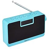 Amazon Basics Tragbares DAB/FM-Radio mit Mono-Display und Bluetooth, B