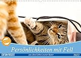 Persönlichkeiten mit Fell - aus dem Leben zweier getigerter Kater (Wandkalender 2022 DIN A3 quer)