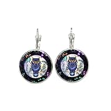 Ohrringe mit Eulen-Motiv, konvexe Glas-Inlay-Ohrringe, Männer und Frauen tragen Schmuck