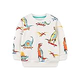 N+V Dinosaurier-Druck Sweatshirt für Jungen, Baumwolle Langarm Jumper für Outdoor-Schulreisen, Herbst Winter Kinder Pullover ​2-7 Jahre (4Years)