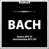 Kantate für Orchester, Chor und Solostimme, BWV 56, 'Ich will den Kreuzstab gerne tragen': No. 1, Ich will den Kreuzstab gerne tragen (Aria)