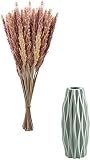 Clonic 30 Stück Pampasgras Getrocknet Künstlich Groß Trockenblumen Deko mit Vasen für Pampasgras, Natürlich Pampasgras Blumenstrauß Strauß Blumen Pampas Deko für Hochzeit Home D
