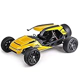 Lihgfw 1/6 Off-Road Dune Buggy，2WD Erwachsener Geländewagen Professionelles Elektro-Driftfahrzeug,70KM/H+ Volldigitales 15KGS Metalllenkgetriebe（Standardkonfiguration）Geschenke Für Jungen Und M