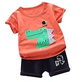 SoonerQuicker Kleinkind Kinder Baby Junge Casual Dinosaurier Druck Kurzarm Shorts Kleidung Set 76