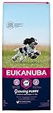 Eukanuba Puppy Welpenfutter für mittelgroße Rassen – Ausgewogenes Trockenfutter mit verbesserter, neuer Rezeptur für Welpen im Alter von 1-12 Monaten in der Geschmacksrichtung Huhn – 1 x 12kg B