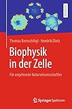 Biophysik in der Zelle: Für angehende Naturw
