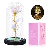 Gomyhom künstliche Blume Rose Geschenk, Regenbogen für Immer Rosen LED-Licht in Glas Home Decorations, personalisierte Geschenke für Mama, Oma, Frauen, Freundin, Valentinstag, Geburtstag