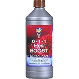 Hesi Boost, 1