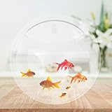 Hapeisy Wandbehang Fischtank, montiertes Fischglas, Betta-Tank, hängendes Fischglas, Pflanzenvase, transparent, rund, Mini-Aquarium für Heimdek